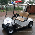 48v electric police golf cart with CE